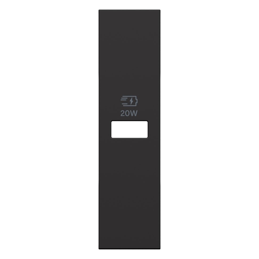 Чехол для USB-зарядного устройства BTICINO Living NOW, 1 модуль, черный, KG11PD