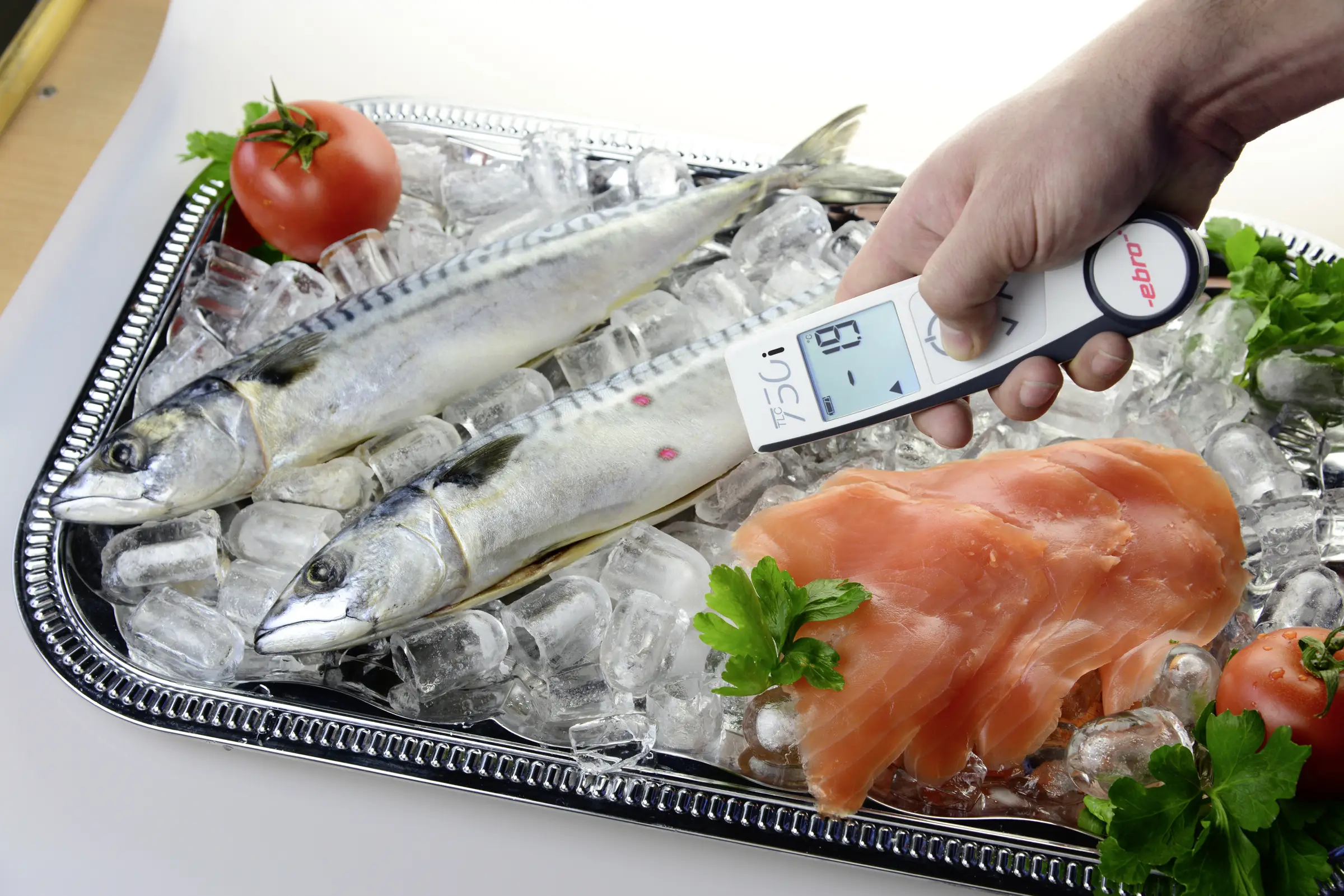 Пірометр і термометр ebro TLC 750i HACCP, оптика 2:1, діапазон температур -50 - +250 °C, сумісний з HACCP, контактне вимірювання,
