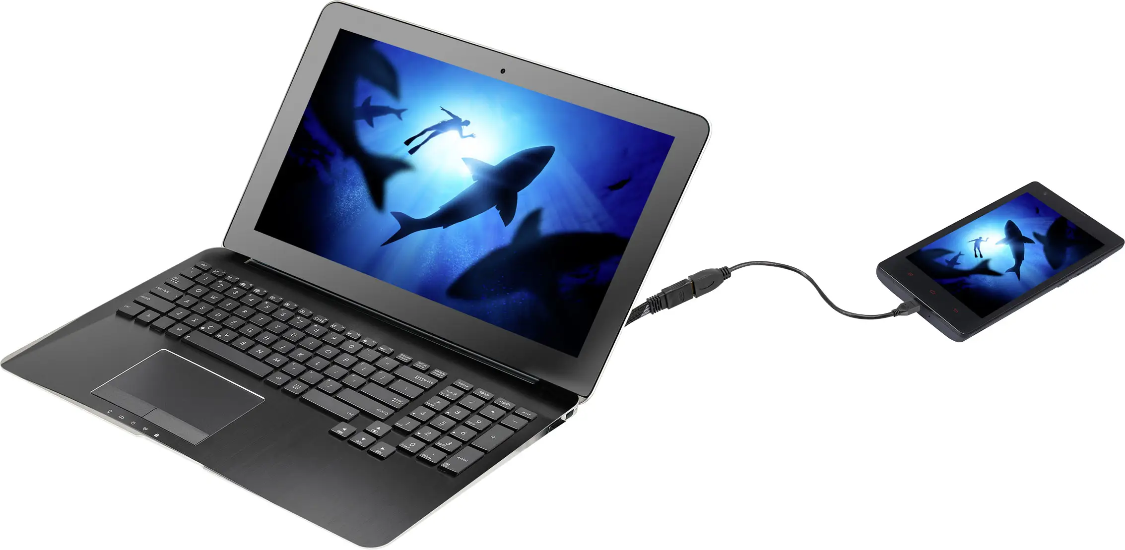 Адаптер SpeaKa Professional SP-7870588 HDMI, 20.00 см