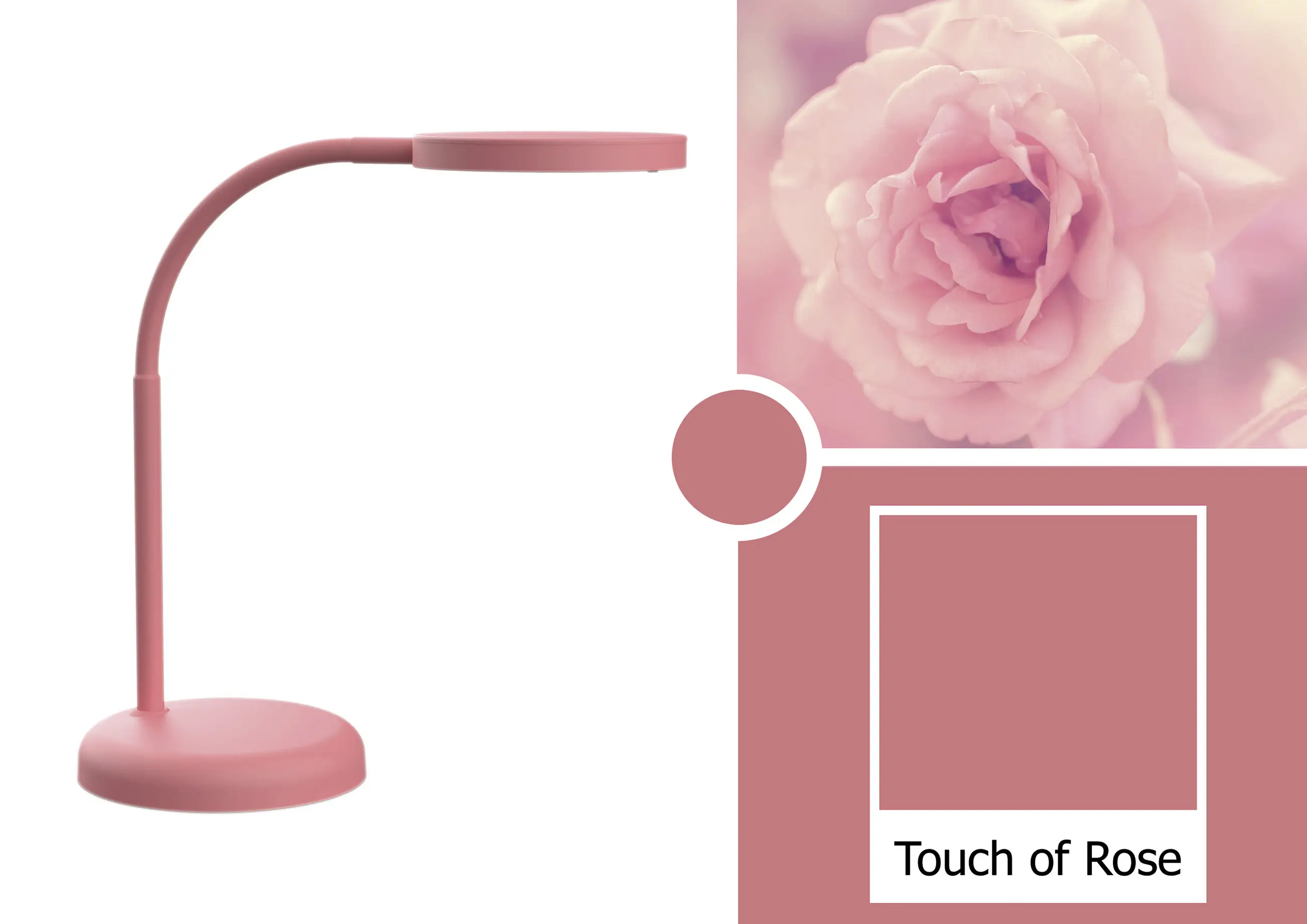 Настольная светодиодная лампа Maul MAULjoy, Touch of Rose 8200623, встроенная светодиодная лампа, 7 Вт, Touch of Rose, 480 лм.