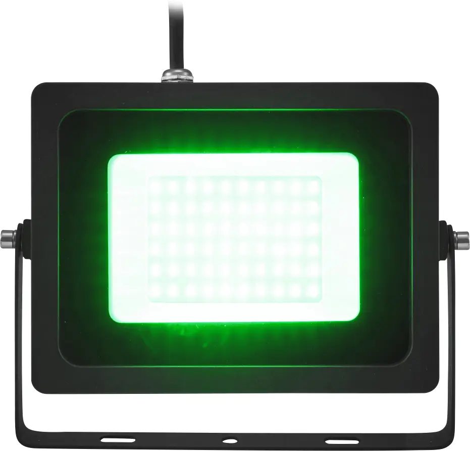Уличный светодиодный прожектор Eurolite IP-FL30 SMD 51914952, 30 Вт, цвет светодиода: зеленый.