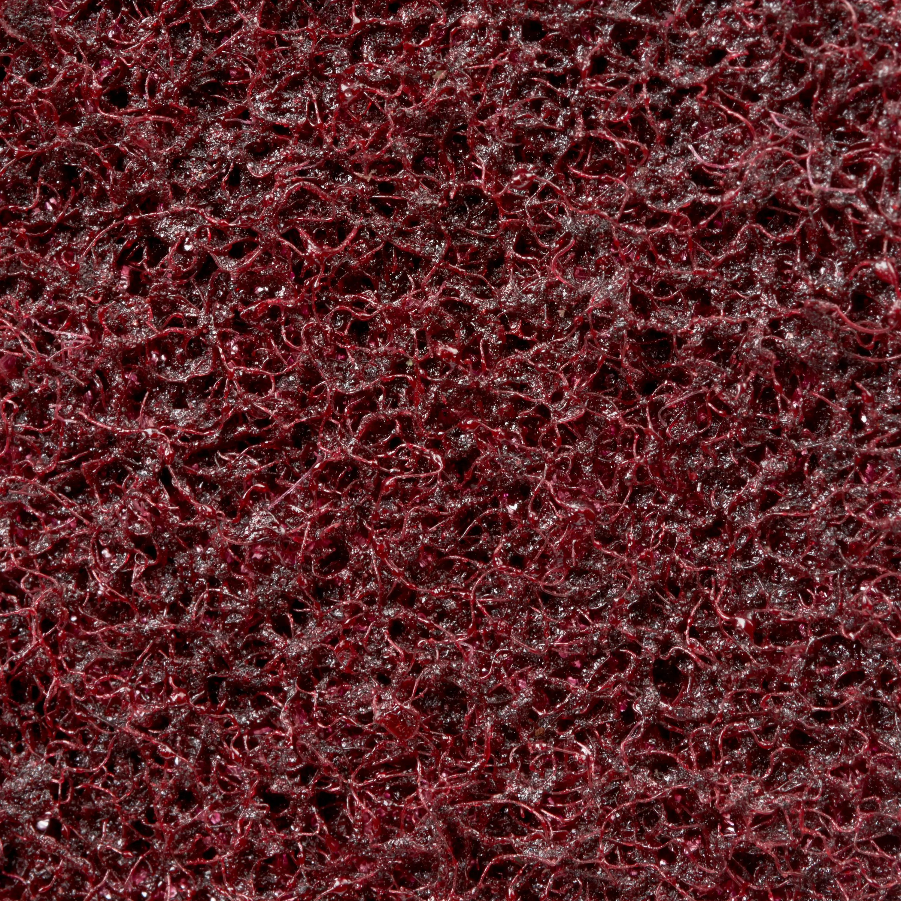 3M 60982 Scotch™ Нетканий диск для обробки поверхонь SC-DH, 115 мм x 22 мм, MED 115 мм, 20 шт.
