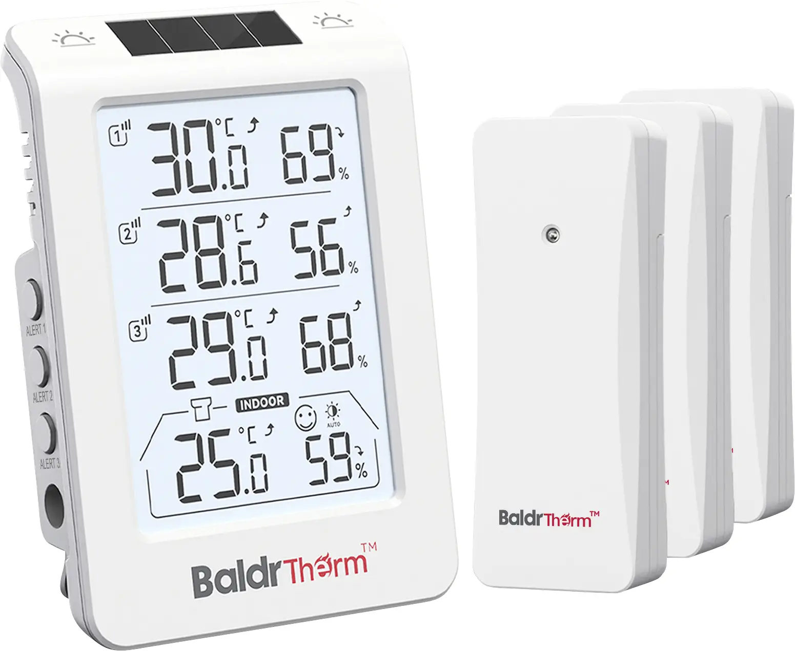 Цифровой радиотермометр BaldrTherm, белый, B0598T4H4