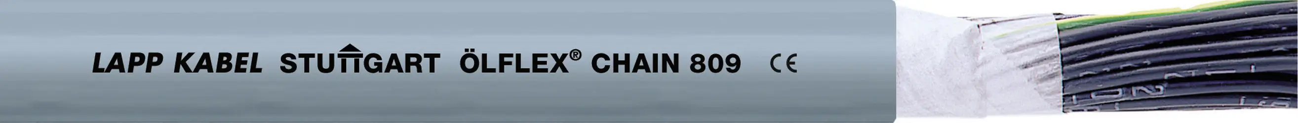 Кабель для кабель-направляючої LAPP ÖLFLEX® CHAIN 808 CP 1026713/1, 500 В, 12 G 10,30 мм, Кількість виробів на погонний метр