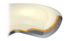 Structure of the pan