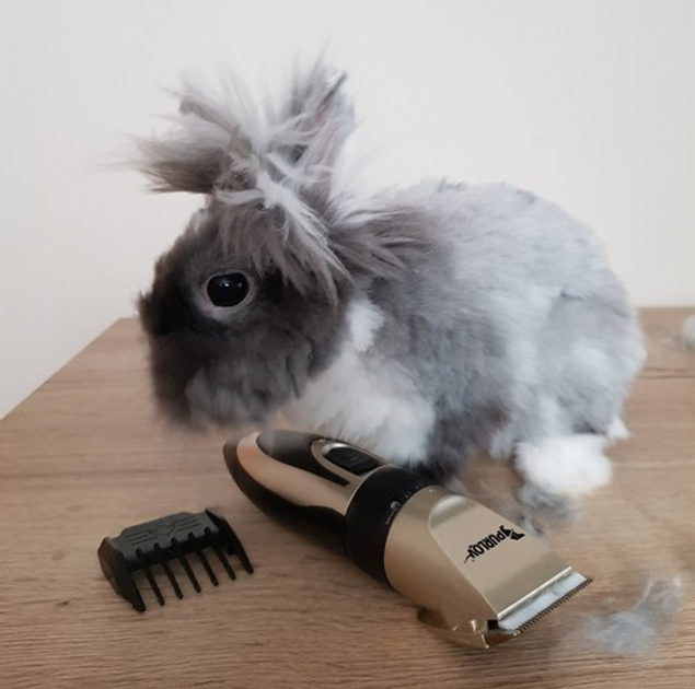 Характеристики Машинка для стрижки животных аккумуляторная PURLOV