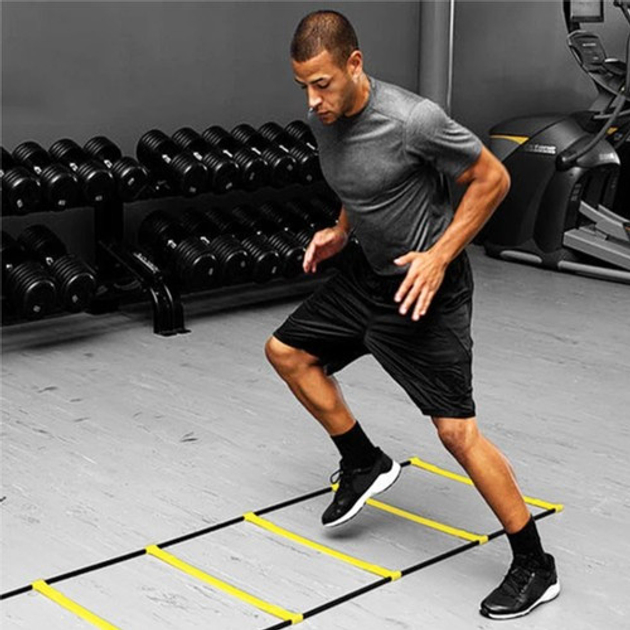 Описание TRIZAND 5067