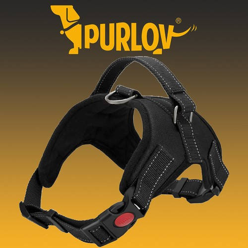 Описание PURLOV 16150