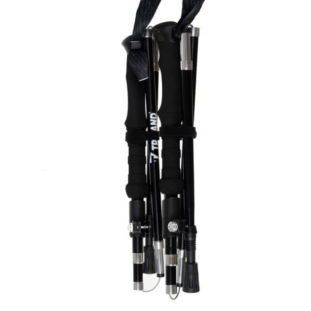 Цена TRIZAND 24396