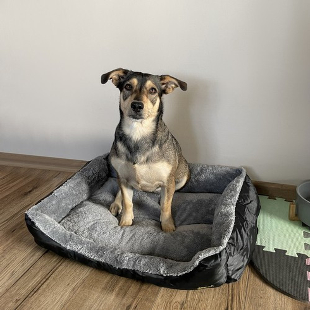 Фото PURLOV 24288