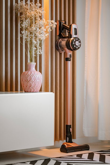 Цена Аккумуляторный пылесос ADLER