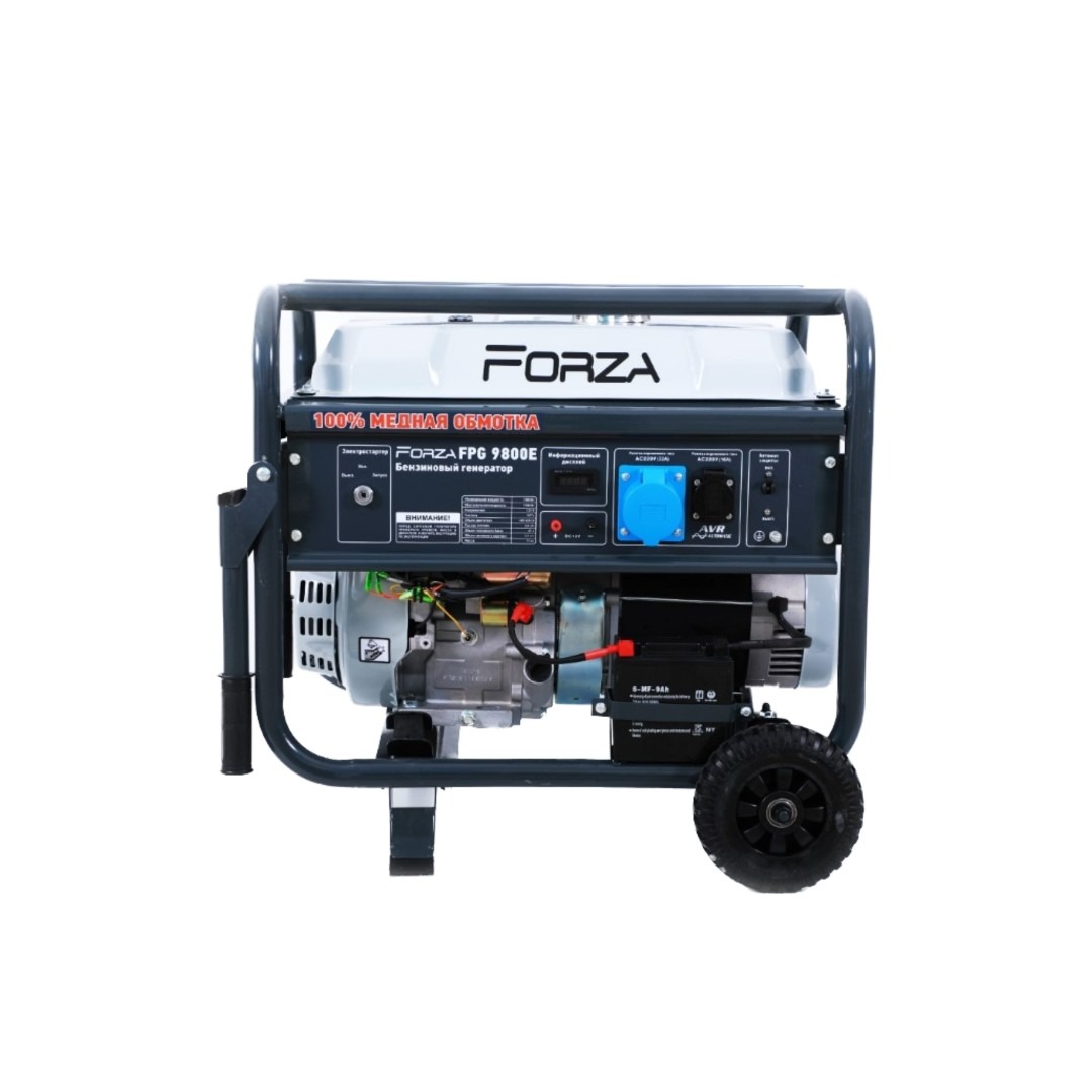 Описание FORZA DD0004102