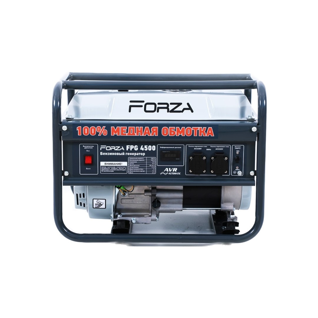 Описание FORZA DD0004098