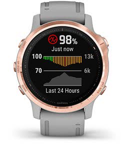 fenix 6S Sapphire. Датчик Pulse Ox fenix 6S Sapphire. Датчик Pulse Ox