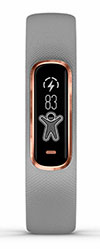 Vivosmart 4. Параметр Body Energy Vivosmart 4. Параметр Body Energy