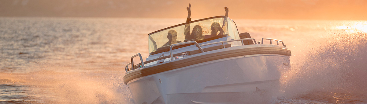 Професійна морська розважальна акустична система Професійна морська розважальна акустична система