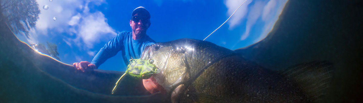 Менше часу на пошук, більше годині на риболовлю Менше часу на пошук, більше годині на риболовлю