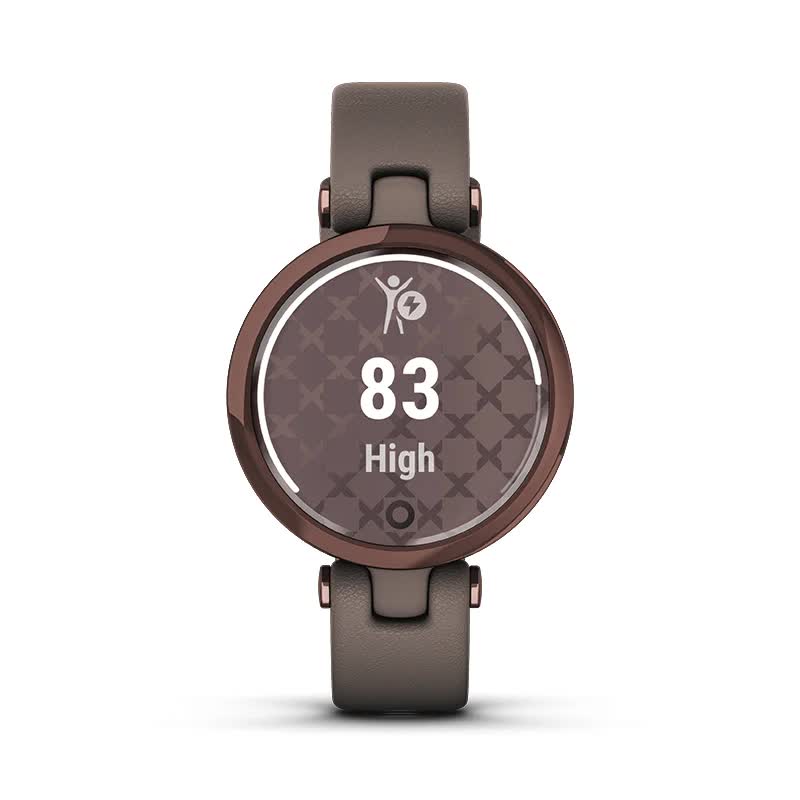 Слідкуйте за рівнем енергії у вашому організмі протягом дня з Garmin Lily Слідкуйте за рівнем енергії у вашому організмі протягом дня з Garmin Lily