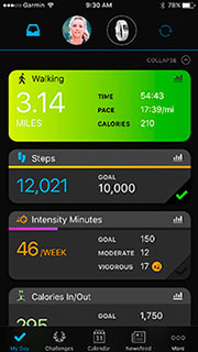 Garmin Connect Garmin Connect