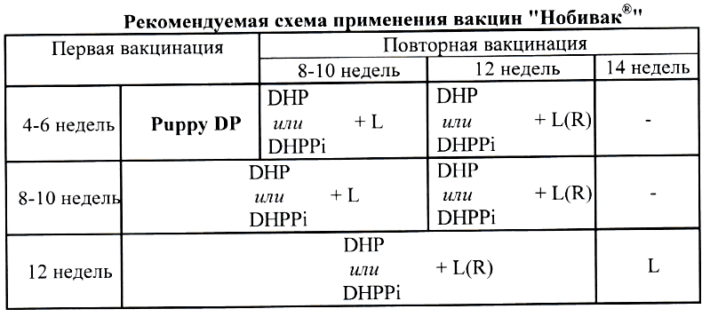 Рекомендації по застосуванню вакцини Нобівак