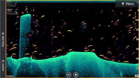 FishReveal™