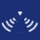 Технология SideScan Технология SideScan