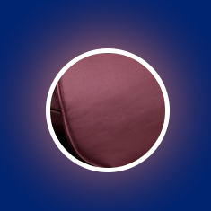 alt1