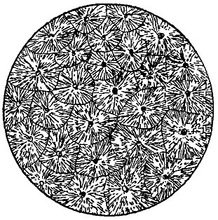 Рис. 151. Кристаллы маинита (муар)
