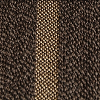 Neon Stripe Brown Neon Stripe Brown