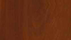 яблоня яблоня