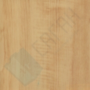 Каталог цветов - Яблоня светлая Яблоня светлая - Каталог цветов