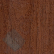 Каталог цветов - Береза морёная Береза морёная - Каталог цветов