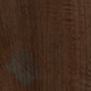 Каталог цветов - Седой орех темный Седой орех темный - Каталог цветов