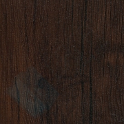 Каталог цветов - Тиковое дерево Тиковое дерево - Каталог цветов