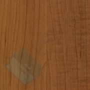 Каталог цветов - Ольха тисненная Ольха тисненная - Каталог цветов