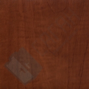 Каталог цветов - Яблоня толедо Яблоня толедо - Каталог цветов