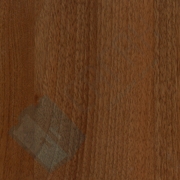 Каталог цветов - Седой орех светлый Седой орех светлый - Каталог цветов