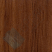 Каталог цветов - Слива ясная Слива ясная - Каталог цветов