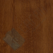 Каталог цветов - Золотой дуб Золотой дуб - Каталог цветов