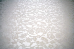 image004